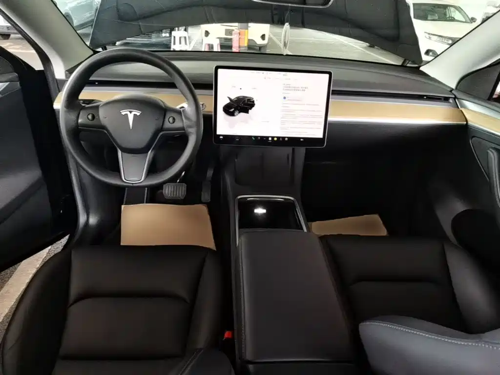 Tesla Model Y — миниатюра 10