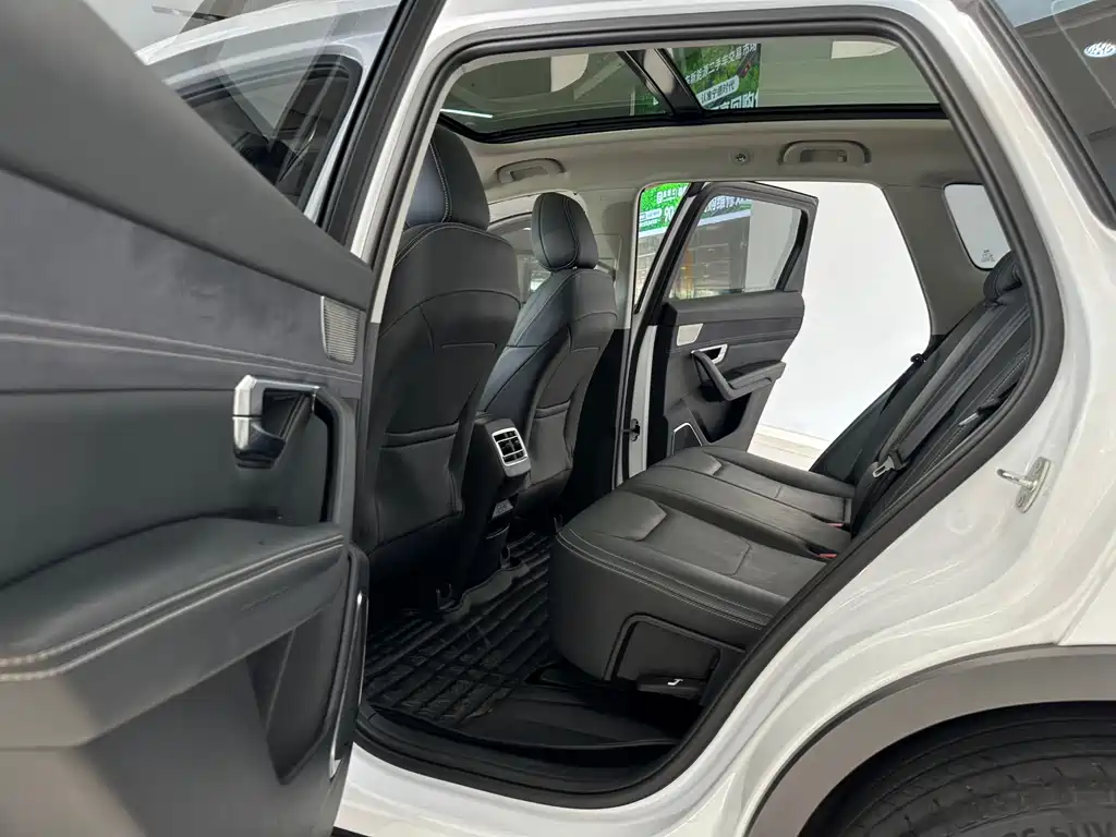 BYD Pro New Energy — миниатюра 11