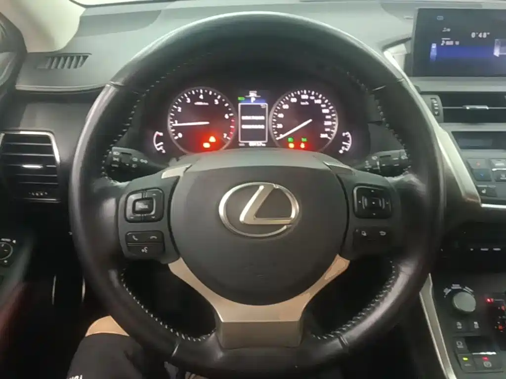 Lexus NX — миниатюра 11