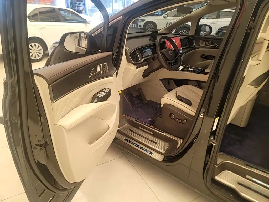 Denza Denza D9 — миниатюра 16
