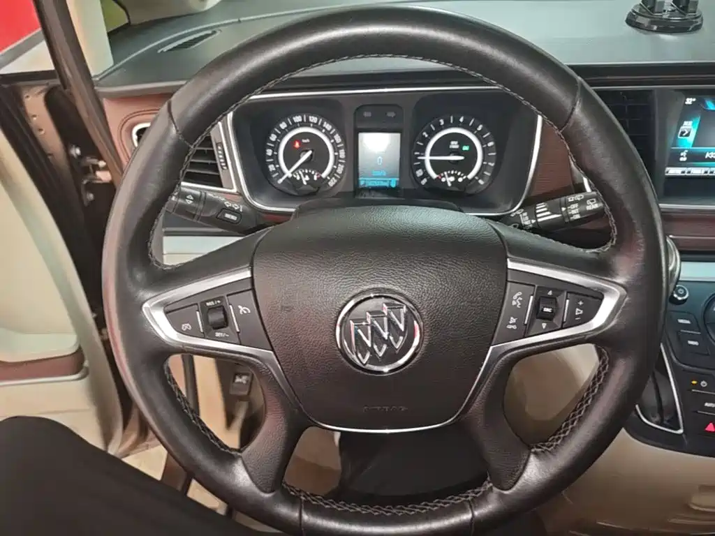 Buick GL8 — миниатюра 11