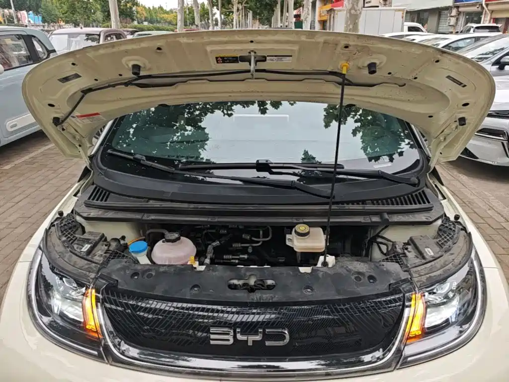 BYD Dolphin — миниатюра 20