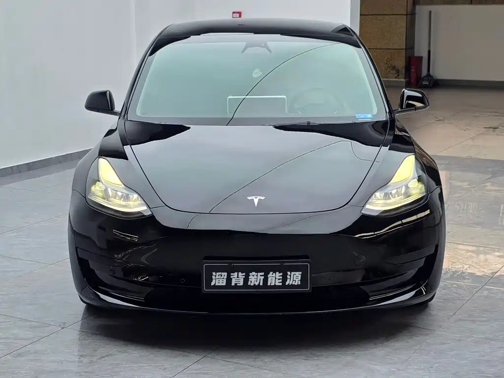 Tesla Model 3 — миниатюра 3
