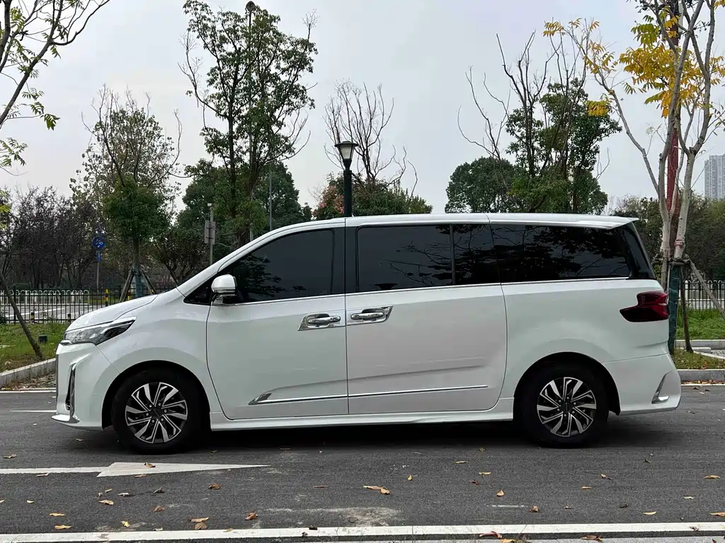 SAIC MAXUS CHASE G20