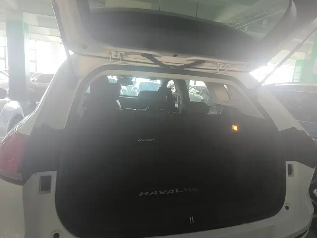 Haval H6 — миниатюра 15