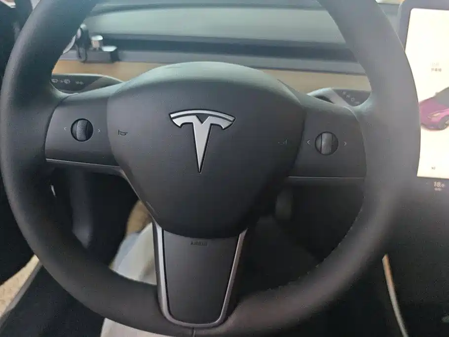 Tesla Model 3 — миниатюра 15
