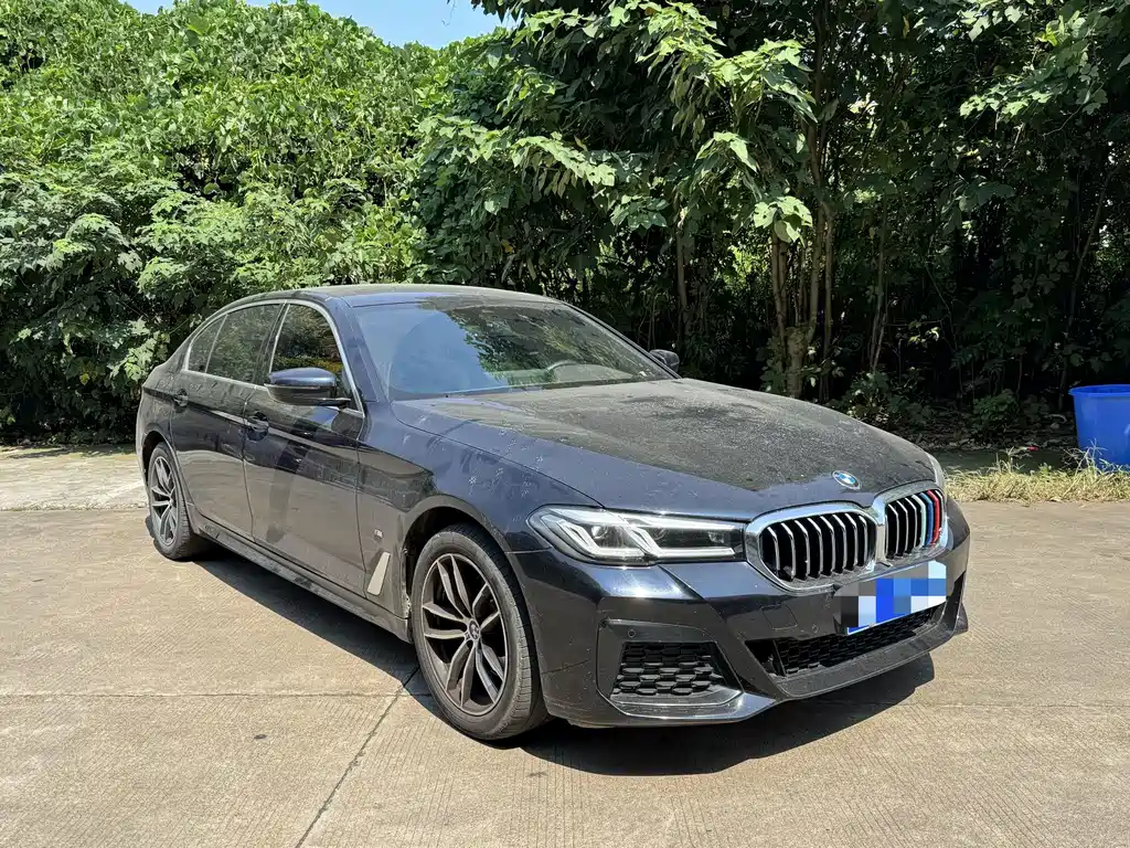 BMW 5 Series — миниатюра 2