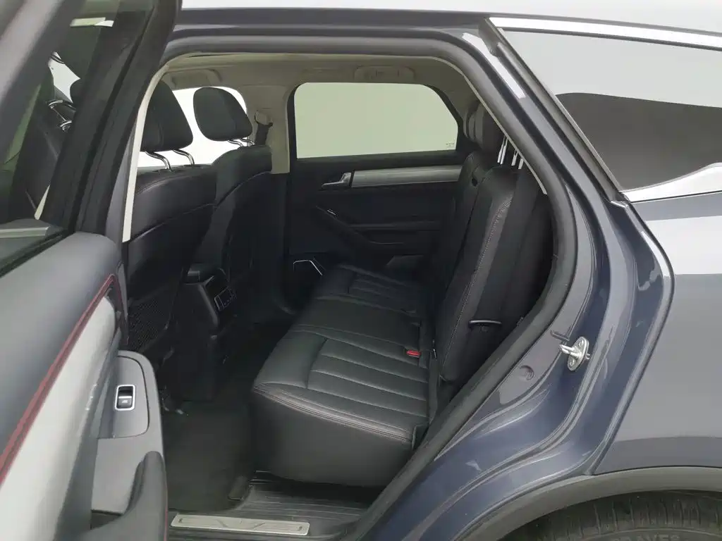 BYD Tang New Energy — миниатюра 15