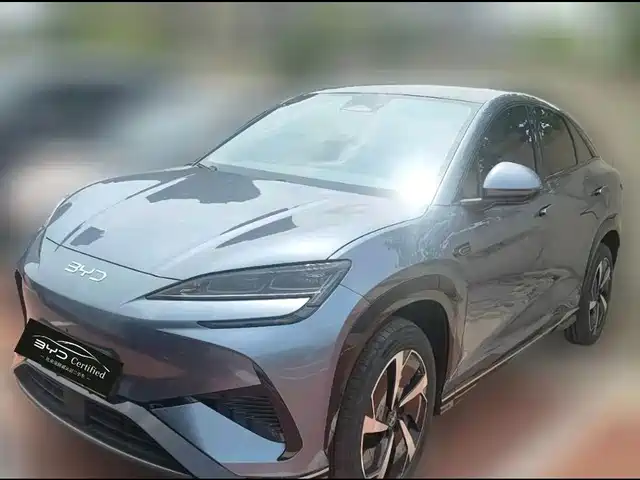2024 BYD Sea Lion