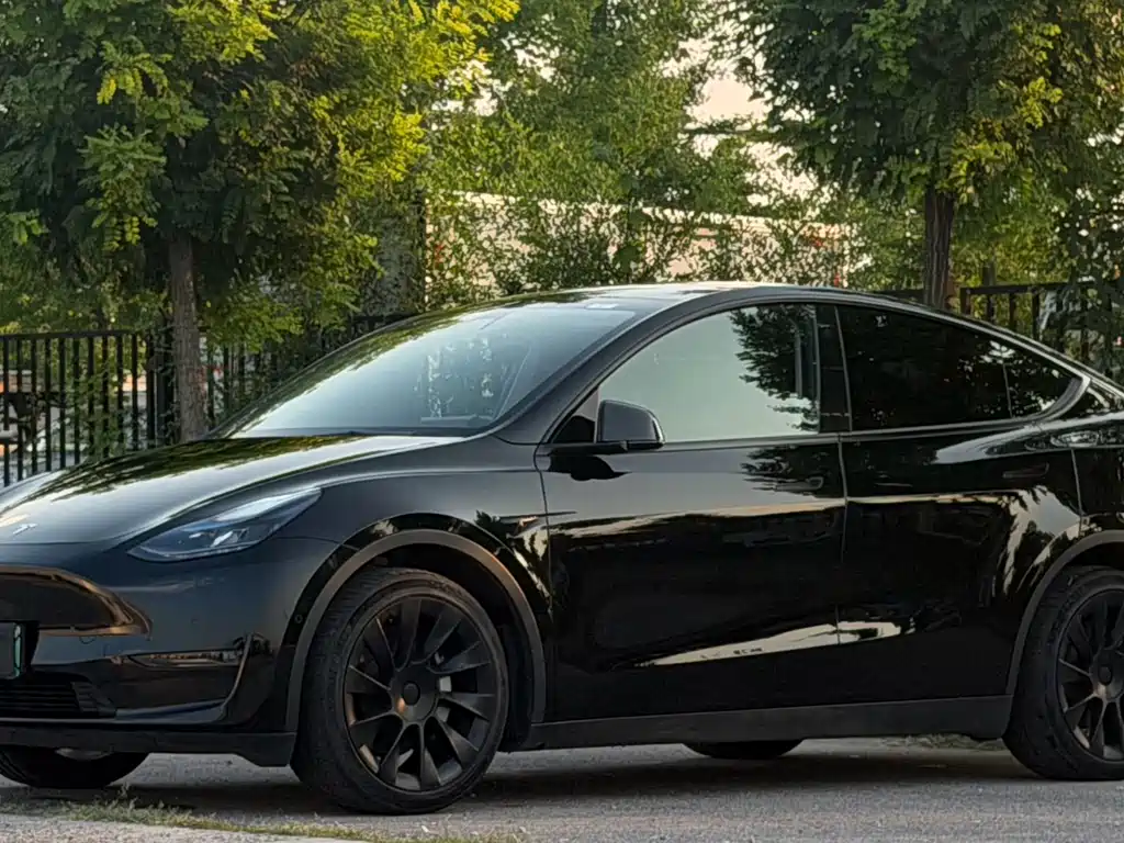 Tesla Model Y — миниатюра 2