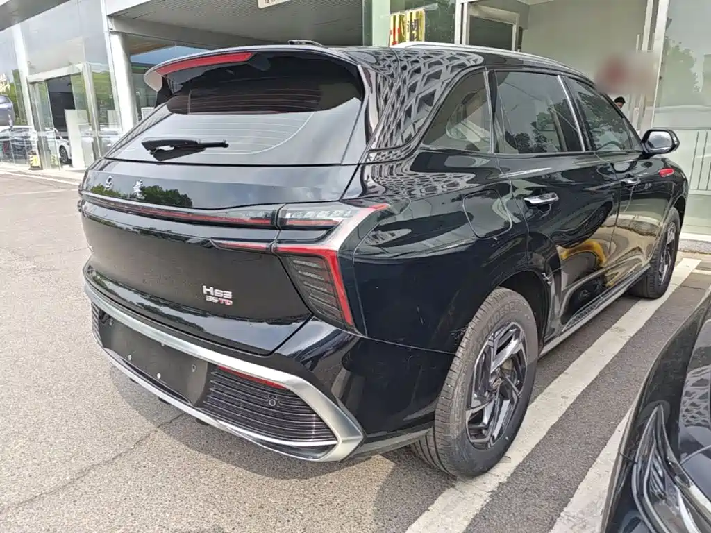 Hongqi Hongqi HS3 — миниатюра 7