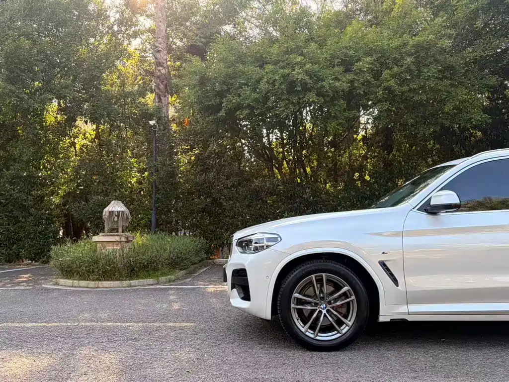 BMW X3 — миниатюра 12