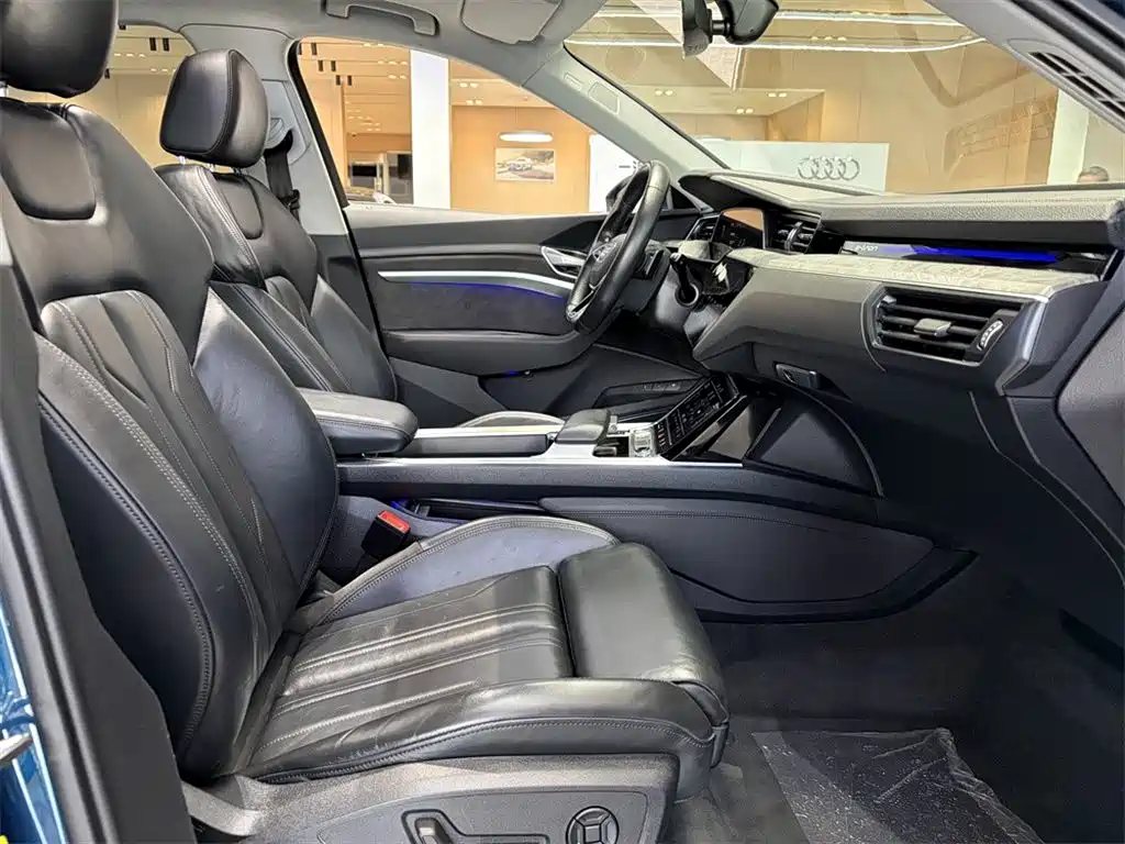 Audi e-tron (Import) — миниатюра 11