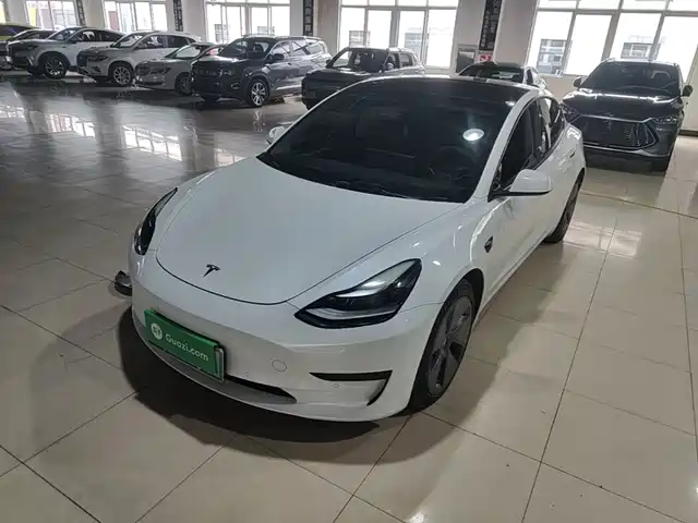 Tesla Model