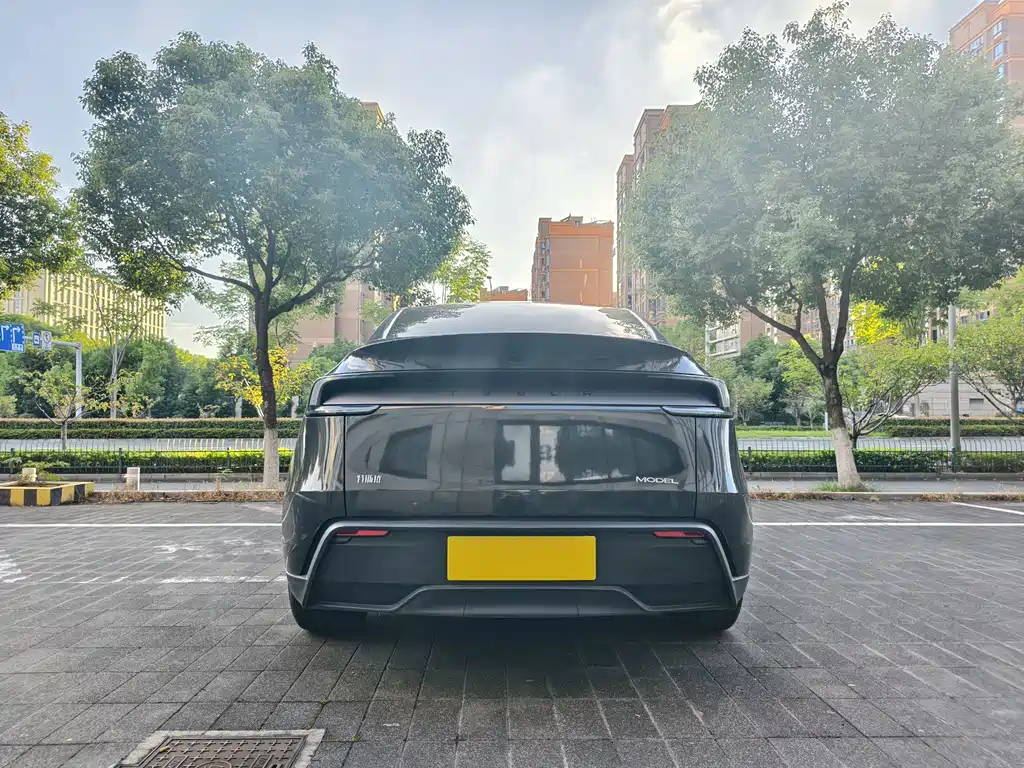 Tesla Model Y — миниатюра 17