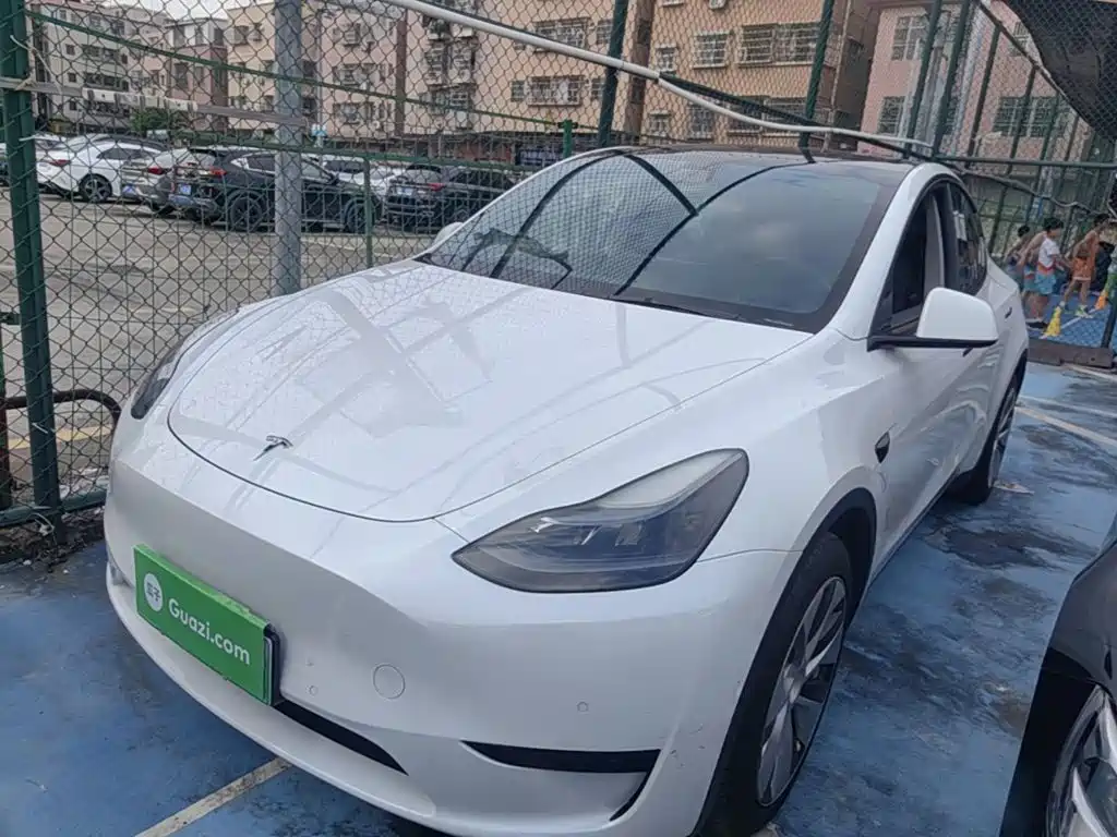 Tesla Model Y — миниатюра 2