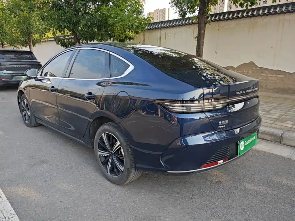 BYD Destroyer 05 — миниатюра 5
