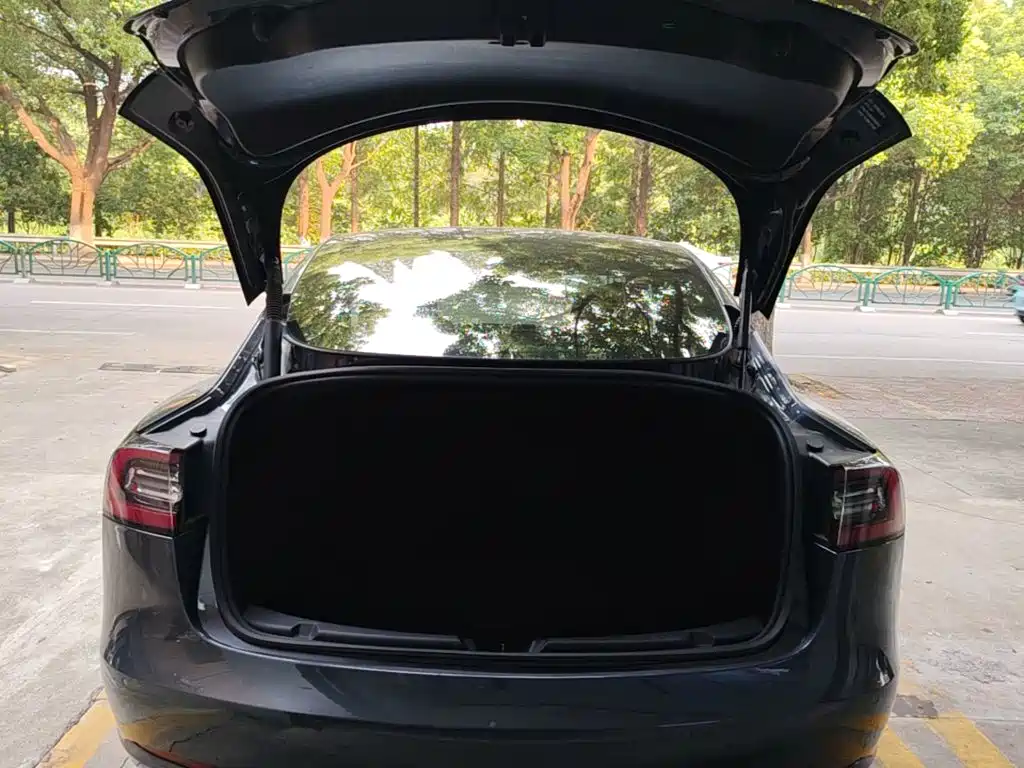 Tesla Model 3 — миниатюра 19