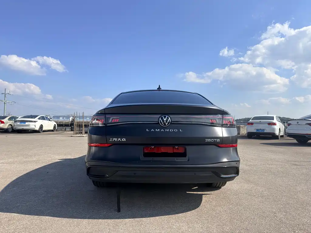 Volkswagen Lamando — миниатюра 5