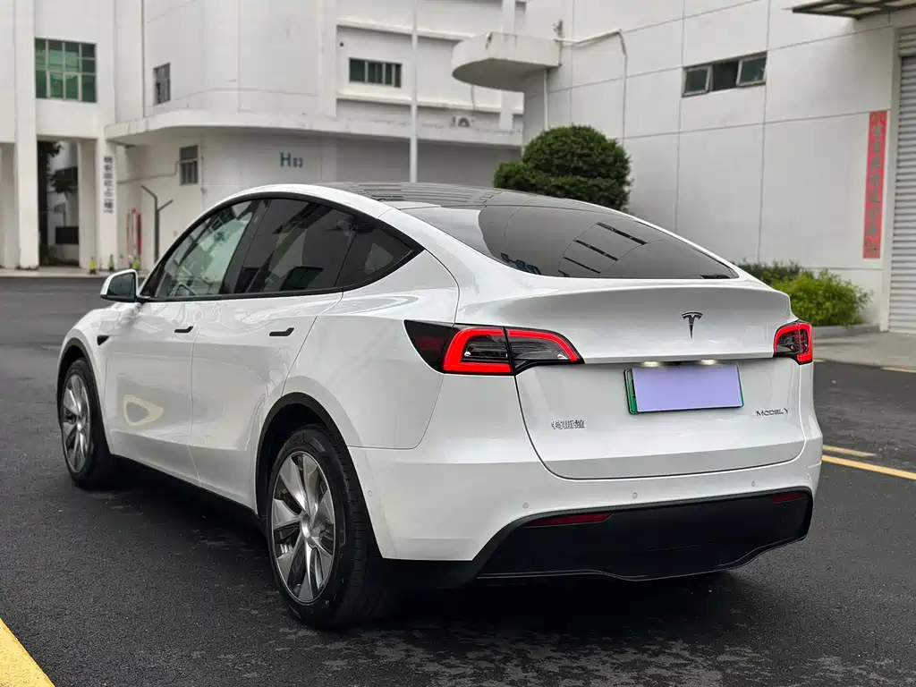 Tesla Model Y — миниатюра 4