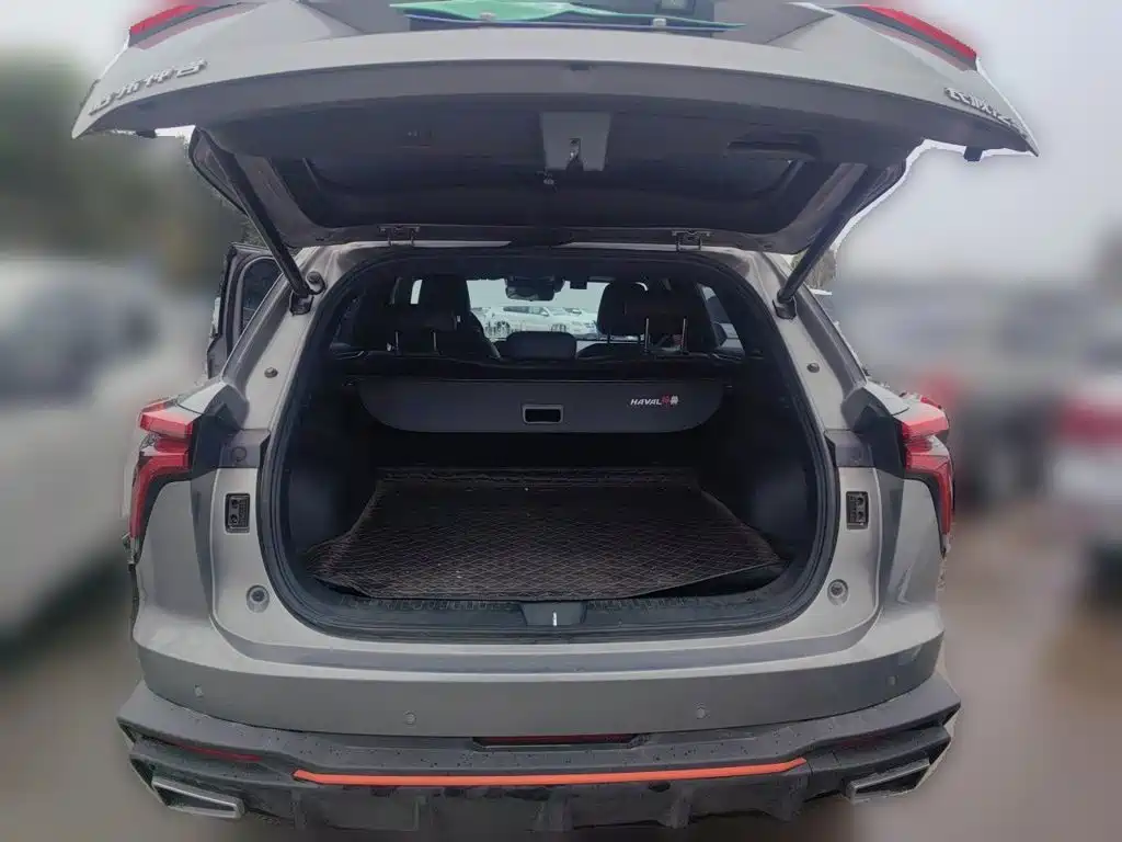 Haval Shenshou — миниатюра 20