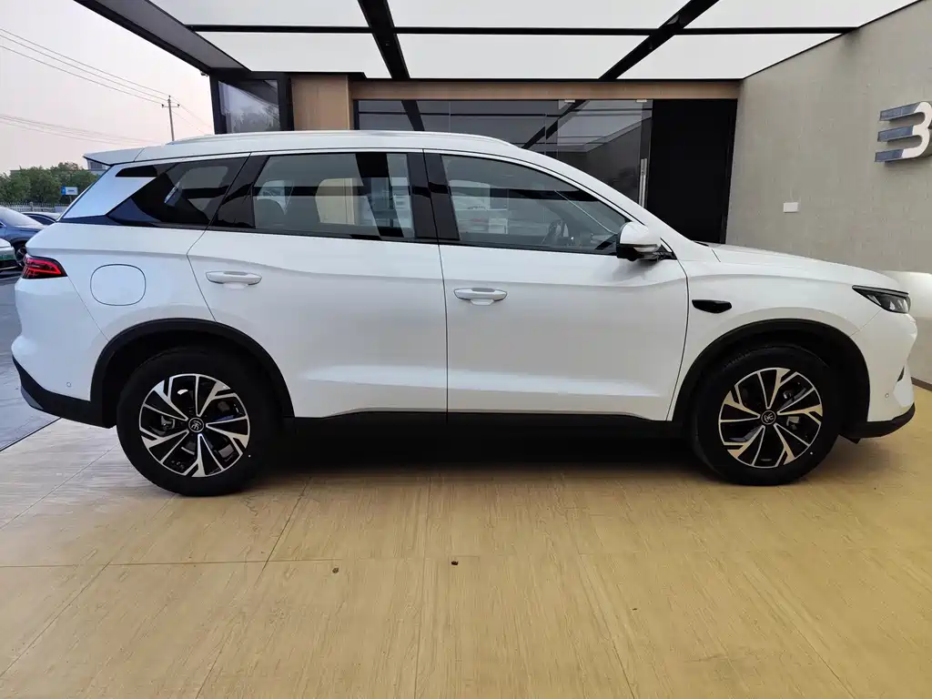 BYD Pro New Energy — миниатюра 8
