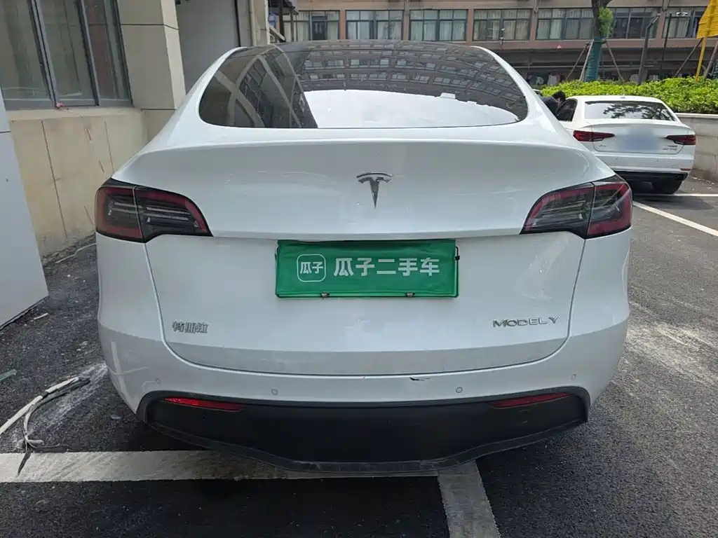 Tesla Model Y — миниатюра 6
