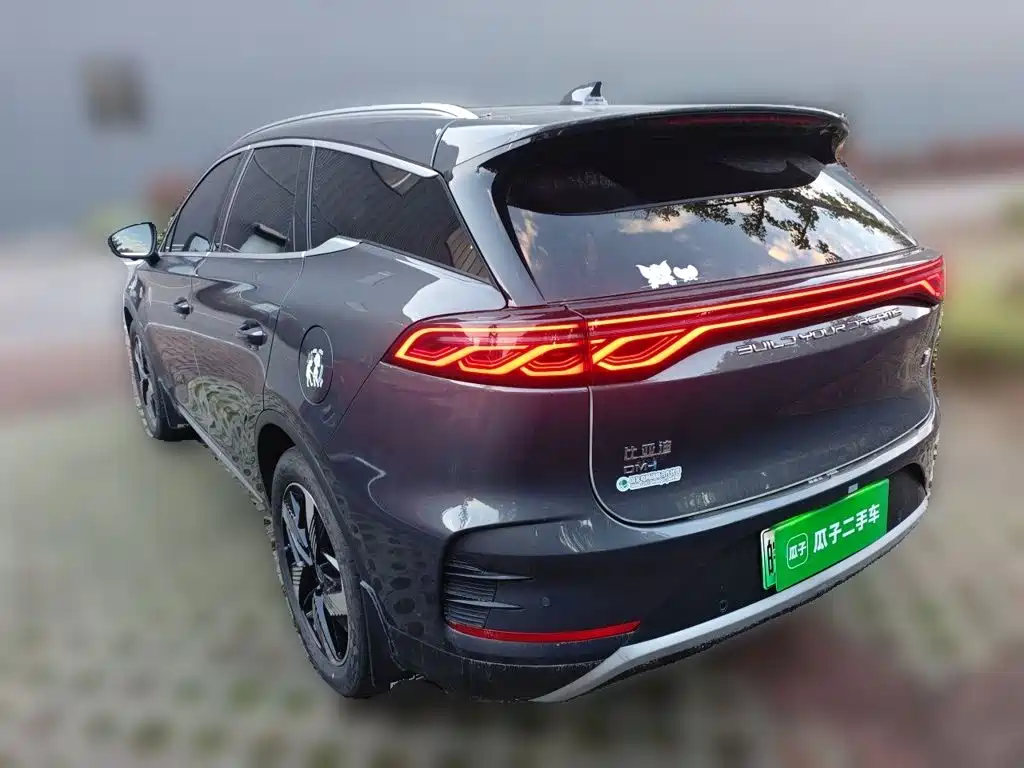 BYD Tang New Energy — миниатюра 4