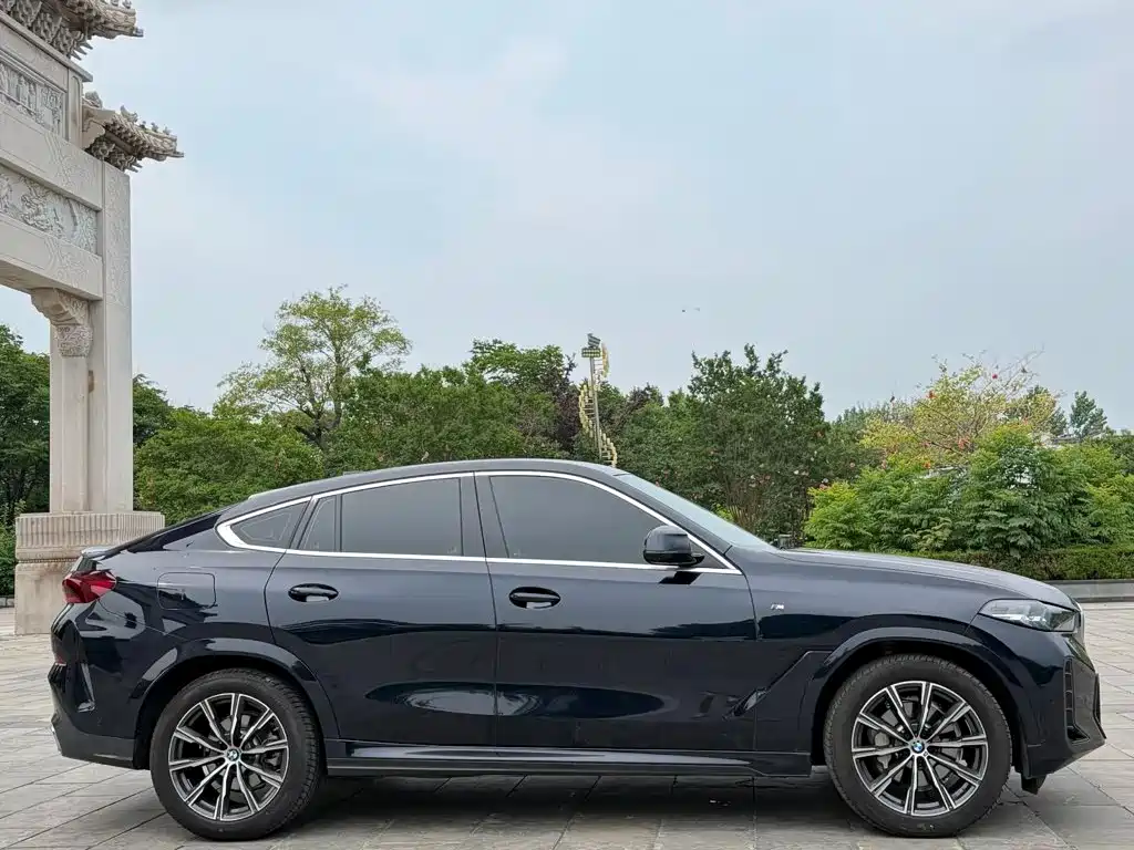 BMW X6 — миниатюра 4