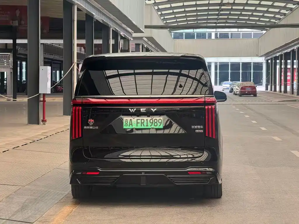 Wey Wey Gaoshan New Energy — миниатюра 14