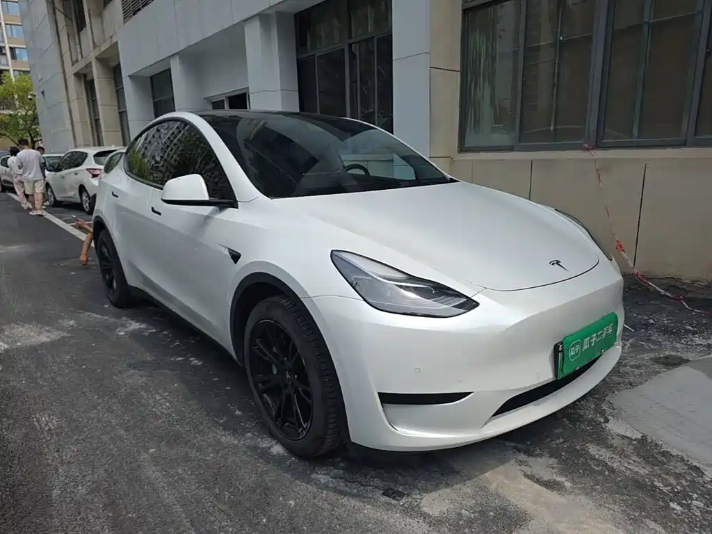 Tesla Model Y — миниатюра 4