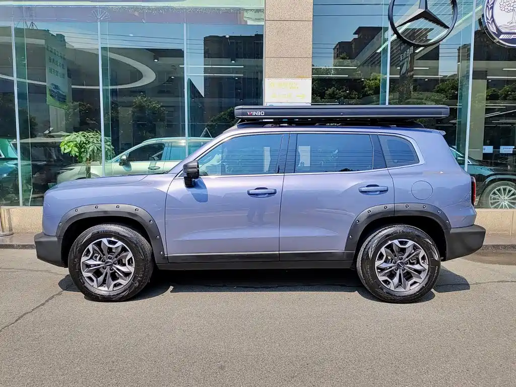 Haval Dargo 2.0T DCT Chinese Rural Dog Edition, фото 3