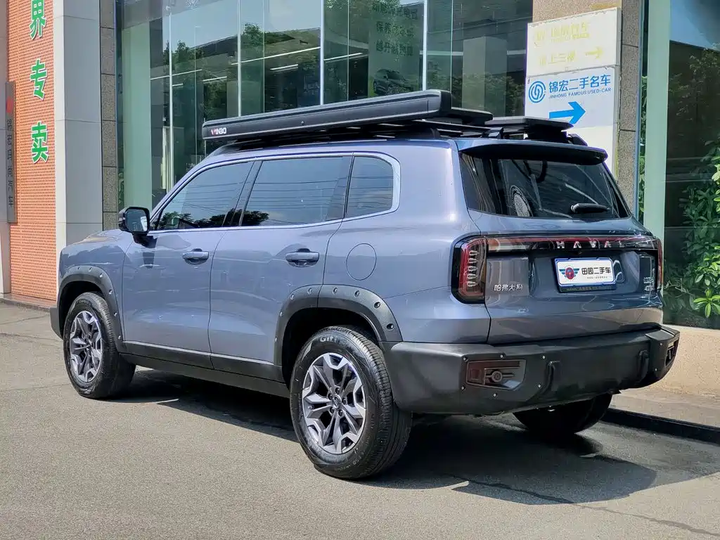 Haval Dargo 2.0T DCT Chinese Rural Dog Edition, фото 4