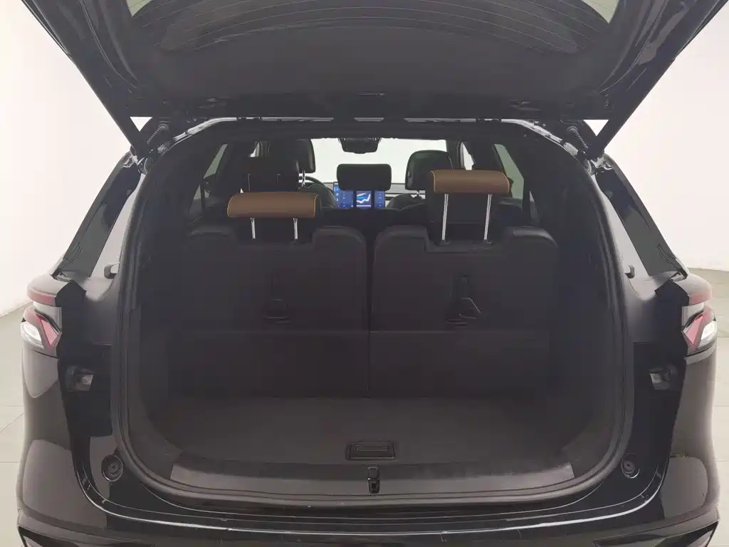 BYD Tang New Energy — миниатюра 16