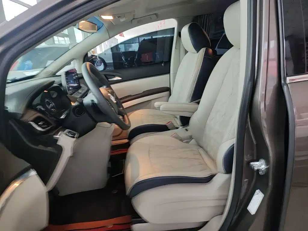 Buick GL8 — миниатюра 15
