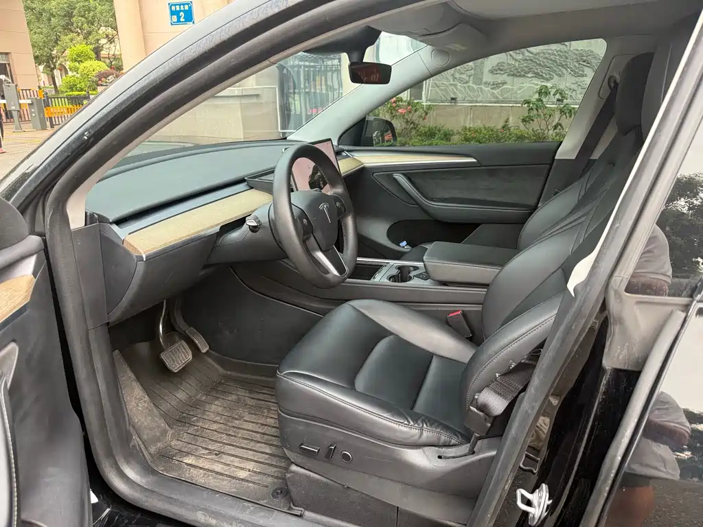 Tesla Model Y — миниатюра 4