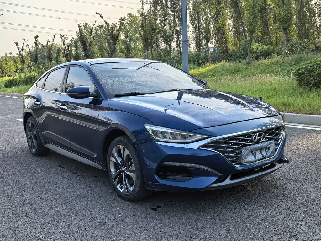 Hyundai Fista — миниатюра 2