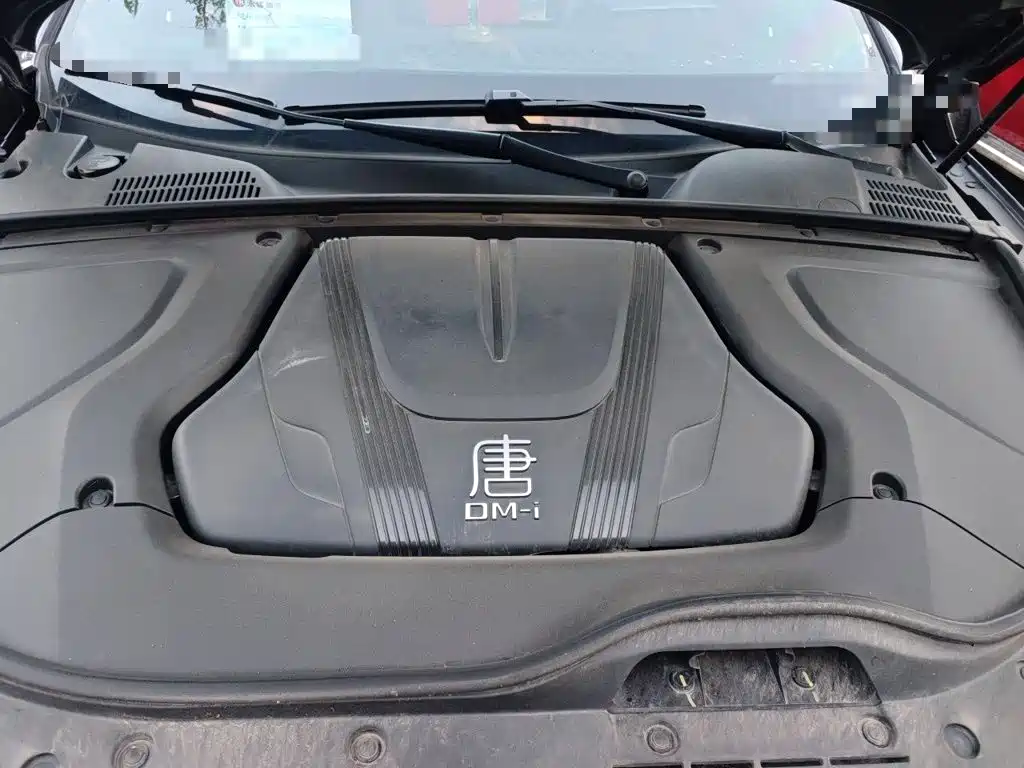 BYD Tang New Energy — миниатюра 21