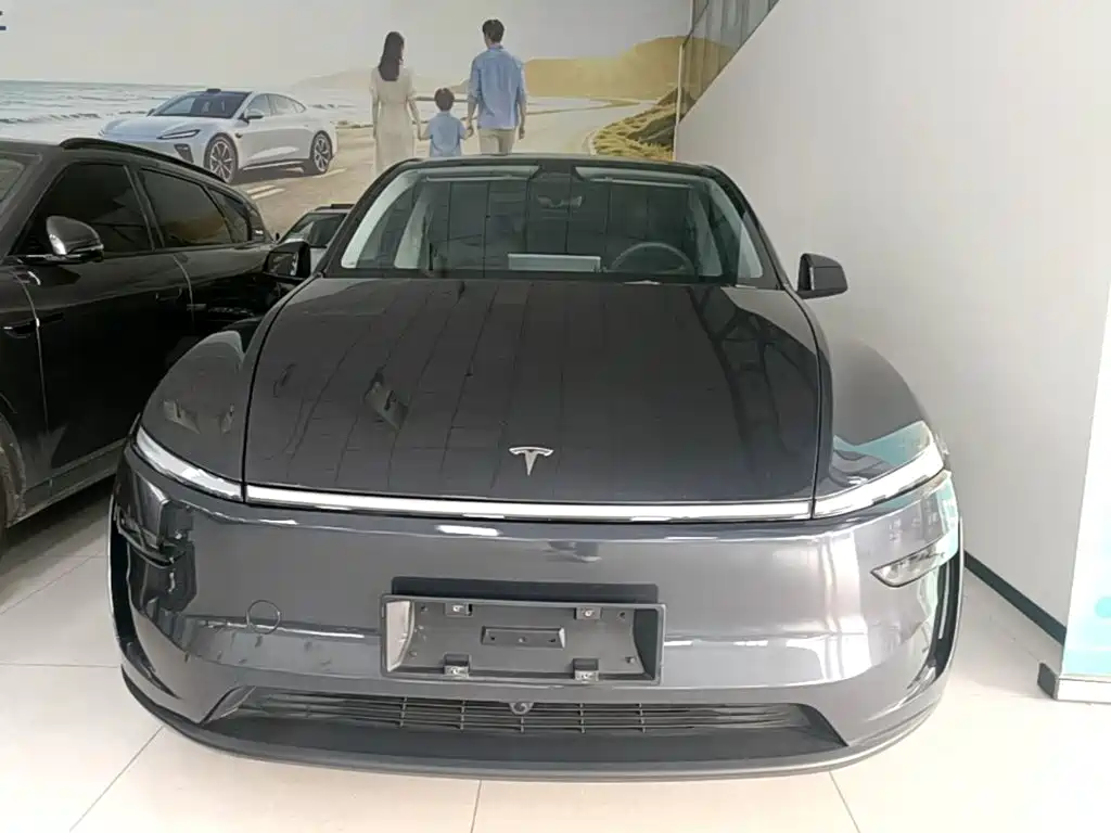 Tesla Model Y — миниатюра 3