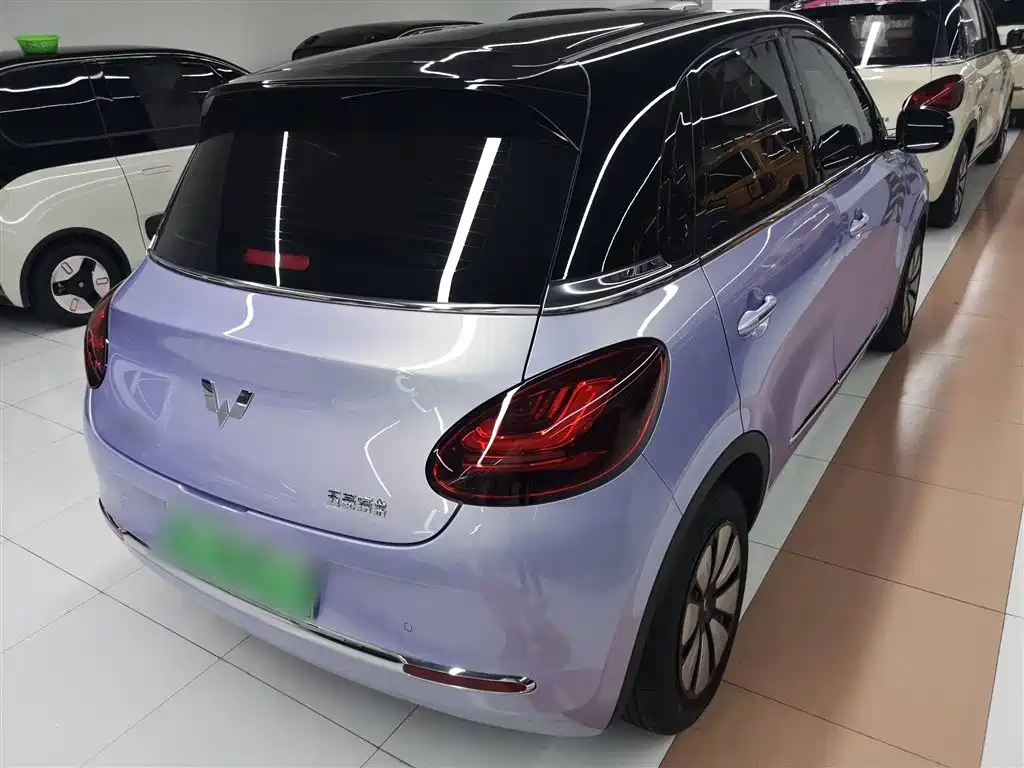 Wuling Binguo 2025 333km Enjoy