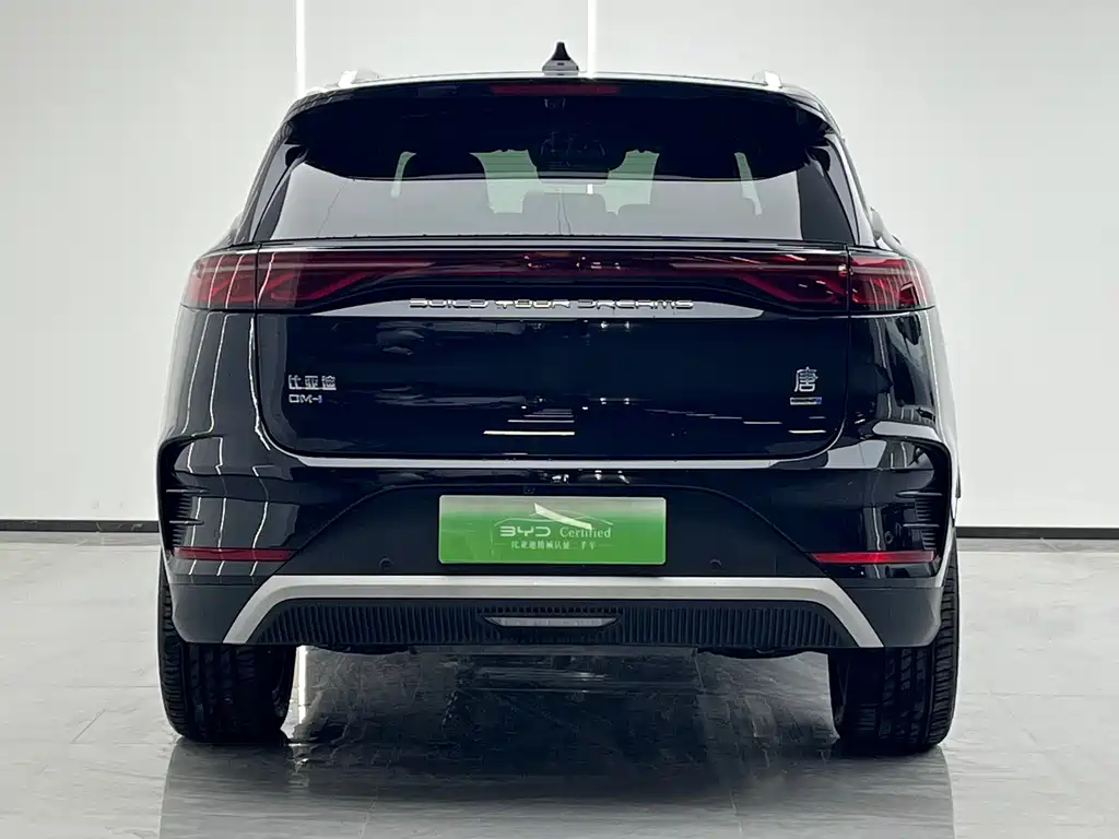 BYD Tang New Energy — миниатюра 4