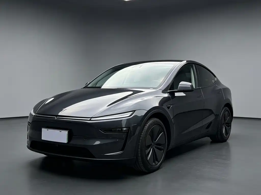 Tesla Model Y — миниатюра 3