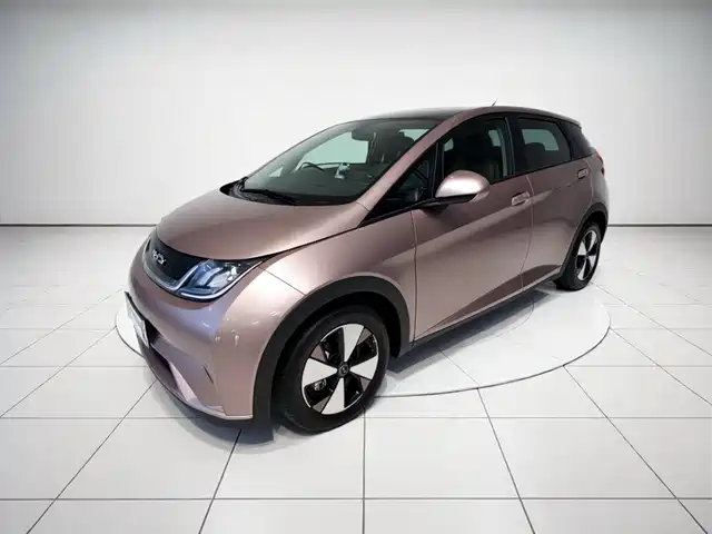 2023 BYD Dolphin