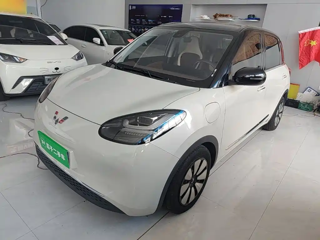 Wuling Binguo
