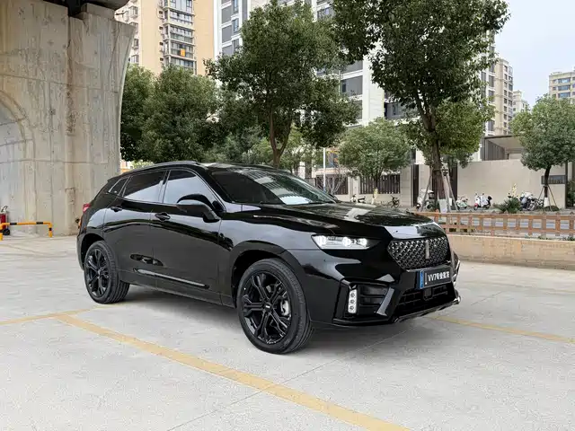 WEI PAI WEI BRAND VV7