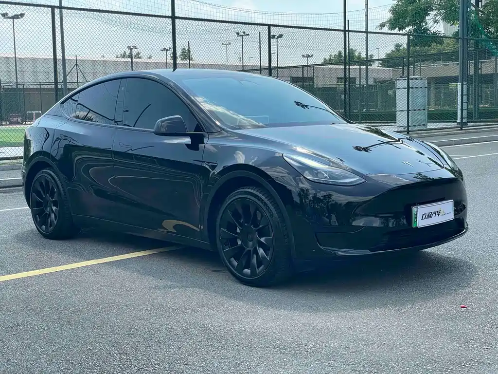 Tesla Model Y — миниатюра 3