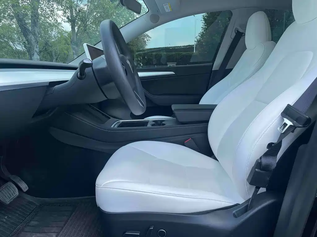 Tesla Model Y — миниатюра 5