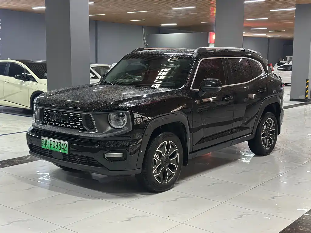 HAVAL SECOND GENERATION BIG DOG NEW ENERGY