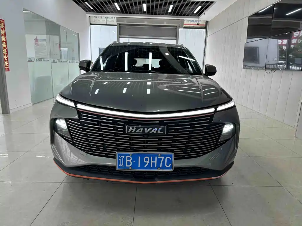 Haval Shenshou — миниатюра 2