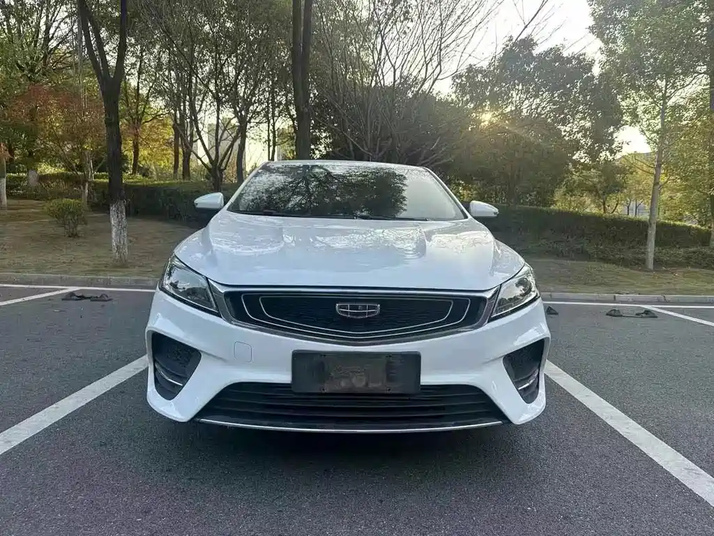 GEELY AUTOMOBILE BINRUI